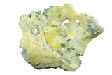 Lemon-Yellow Brucite In Blue-Green Matrix - Pakistan #248569-1